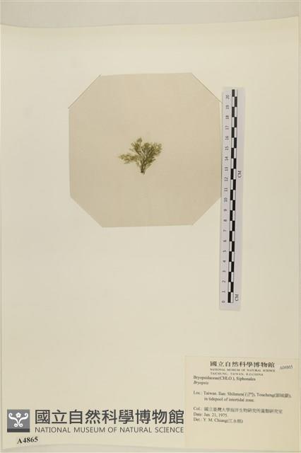 登錄號:A00004865藏品圖，第3張