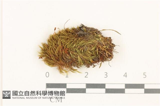 登錄號:B00015865藏品圖，第1張