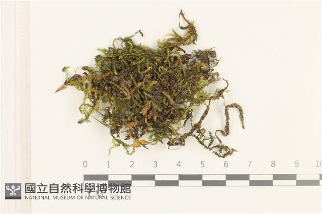 登錄號:B00020865藏品圖，第1張