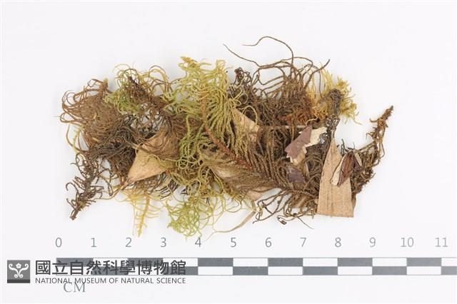 登錄號:B00007085藏品圖，第1張