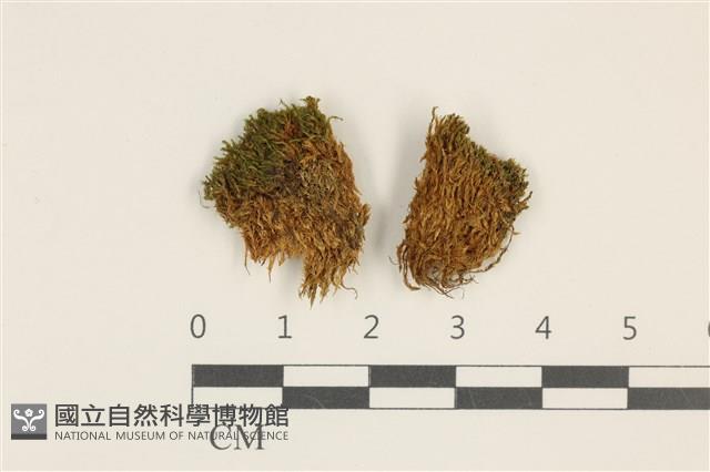 登錄號:B00003185藏品圖，第1張