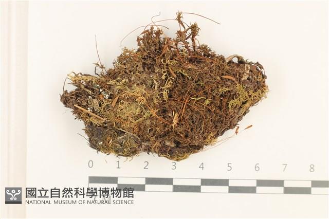 登錄號:B00011985藏品圖，第1張