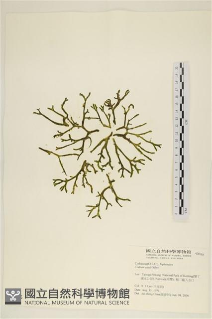 登錄號:A00000985藏品圖，第1張