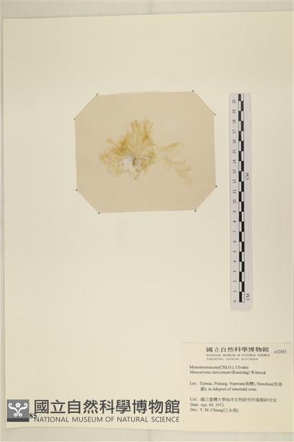 登錄號:A00002885藏品圖，第3張