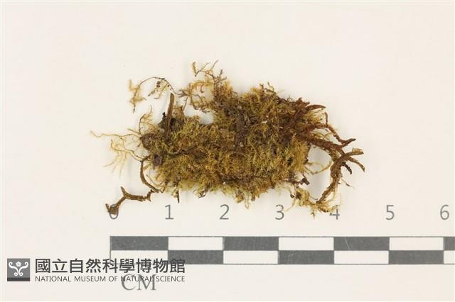 登錄號:B00014885藏品圖，第1張