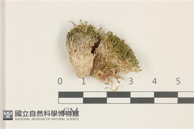 登錄號:B00017885藏品圖，第1張