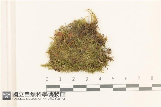 登錄號:B00015885藏品圖，第1張