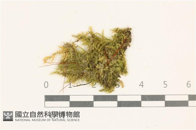 登錄號:B00002031藏品圖，第1張