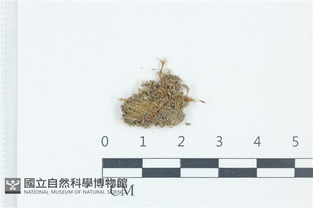 登錄號:B00004931藏品圖，第1張