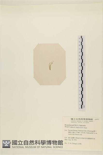 登錄號:A00004931藏品圖，第3張