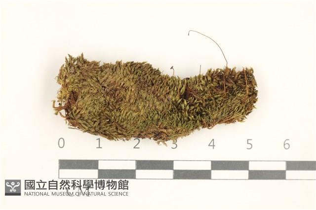 登錄號:B00020931藏品圖，第1張