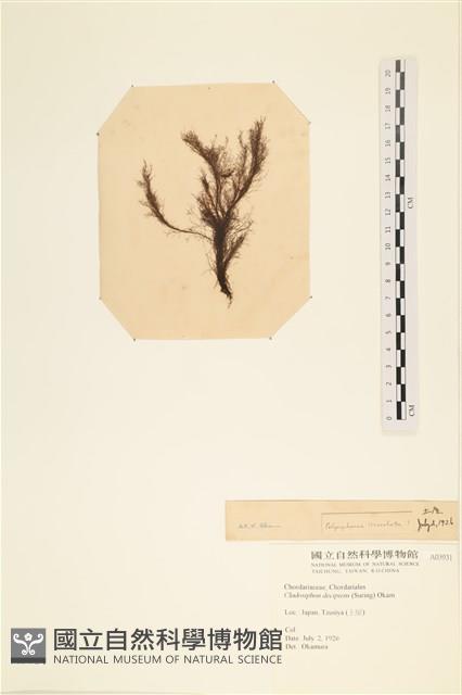 登錄號:A00003931藏品圖，第3張