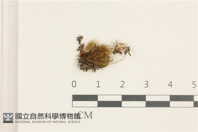 登錄號:B00014051藏品圖，第1張