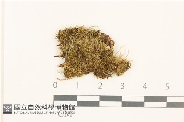 登錄號:B00015151藏品圖，第1張