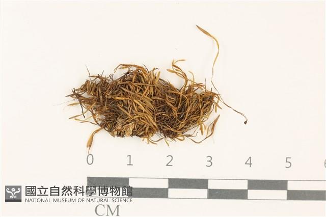 登錄號:B00010151藏品圖，第1張