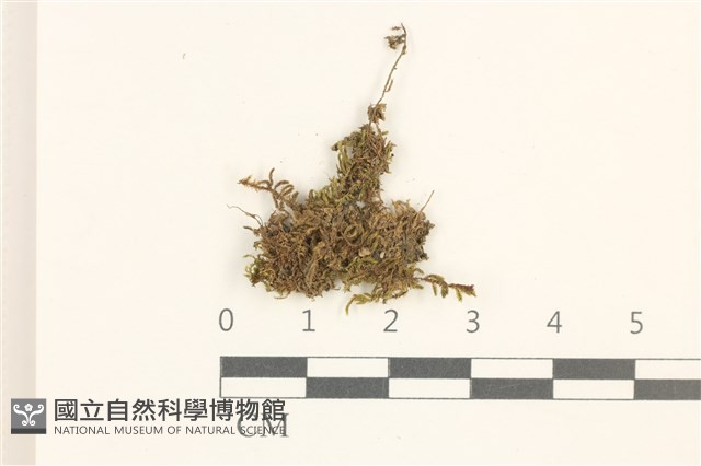 登錄號:B00014851藏品圖，第1張