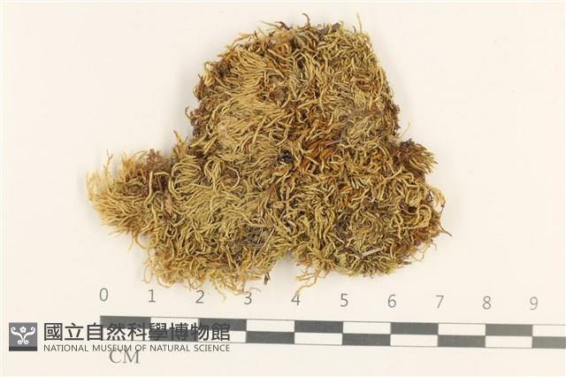 登錄號:B00015851藏品圖，第1張