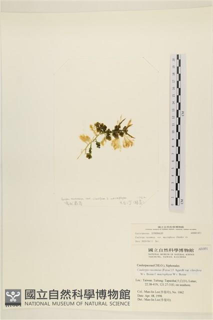 登錄號:A00001851藏品圖，第3張