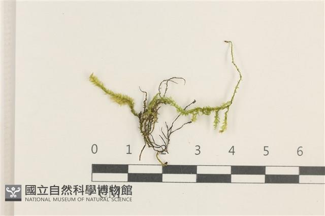 館號:B00020851藏品圖，第1張
