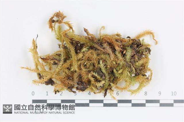 Accession Number:B00008021 Collection Image, Figure 1, Total 2 Figures