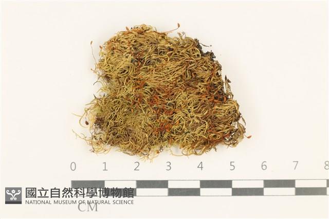 登錄號:B00015121藏品圖，第1張