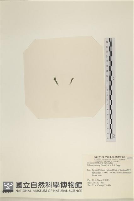 登錄號:A00004921藏品圖，第3張