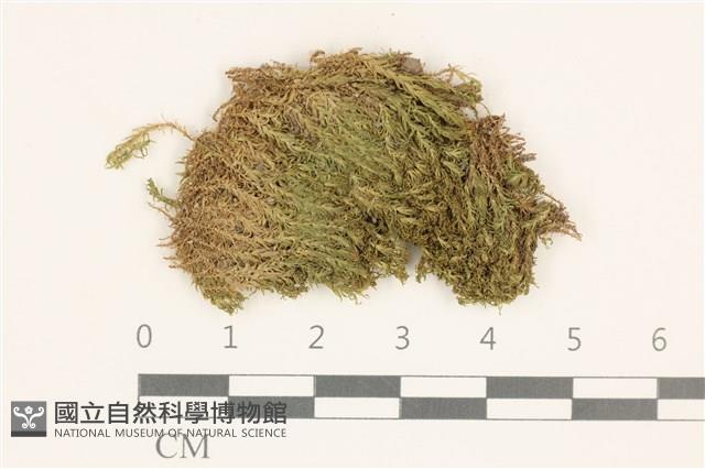 登錄號:B00017921藏品圖，第1張