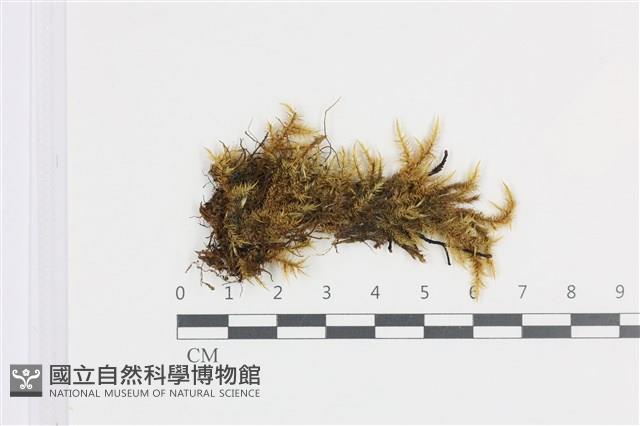 Accession Number:B00011921 Collection Image, Figure 1, Total 2 Figures