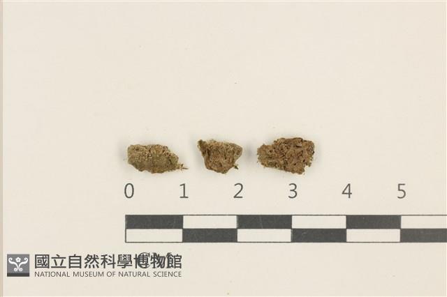 登錄號:B00014071藏品圖，第1張