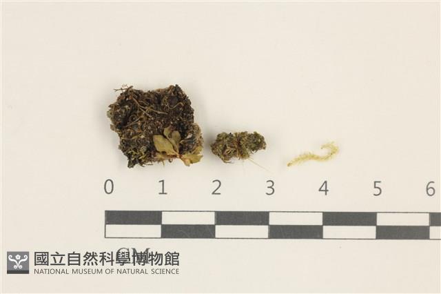 登錄號:B00011071藏品圖，第1張