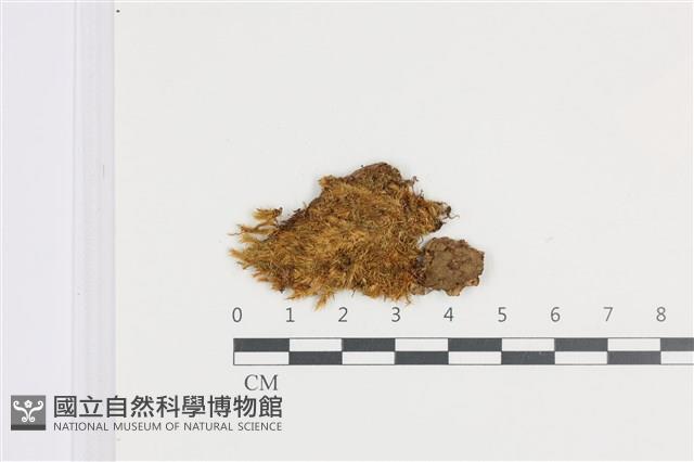 登錄號:B00008971藏品圖，第1張