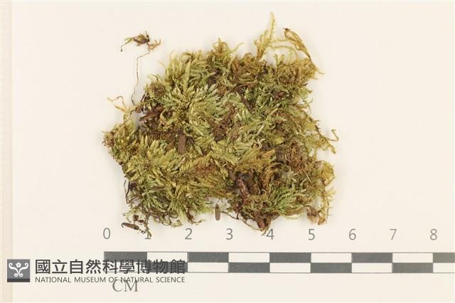 登錄號:B00011971藏品圖，第1張