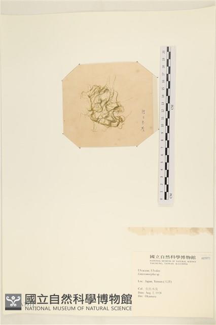 登錄號:A00003971藏品圖，第2張