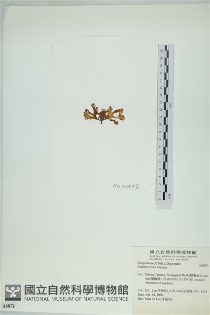登錄號:A00006871藏品圖，第3張