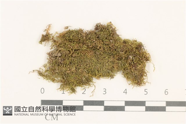 登錄號:B00014871藏品圖，第1張