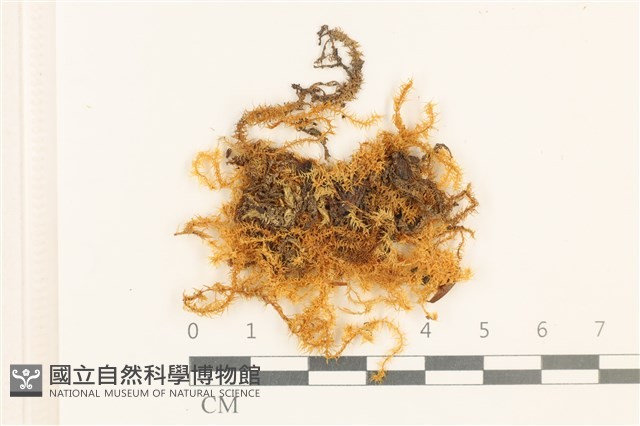 登錄號:B00004871藏品圖，第1張