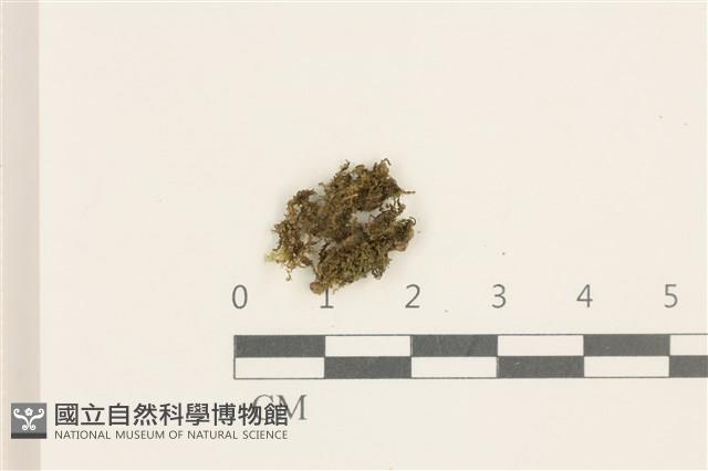 登錄號:B00015871藏品圖，第1張