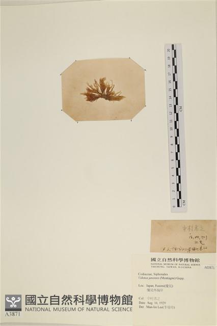 登錄號:A00003871藏品圖，第3張
