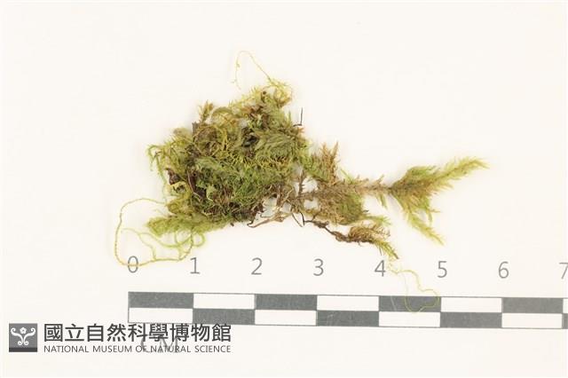 登錄號:B00020371藏品圖，第1張
