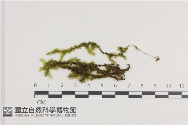 登錄號:B00021111藏品圖，第1張