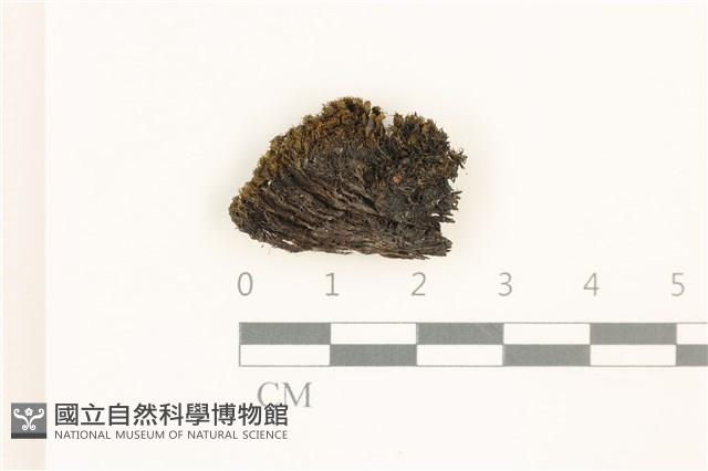 登錄號:B00015811藏品圖，第1張