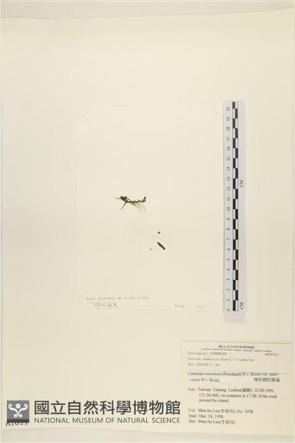 登錄號:A00001811藏品圖，第1張