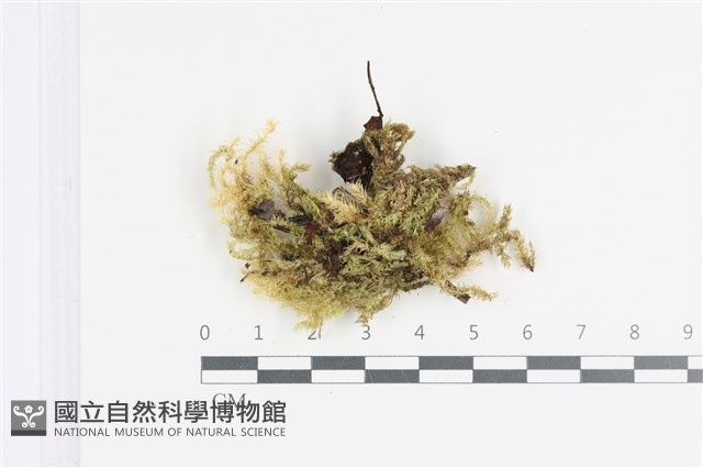 登錄號:B00002091藏品圖，第1張