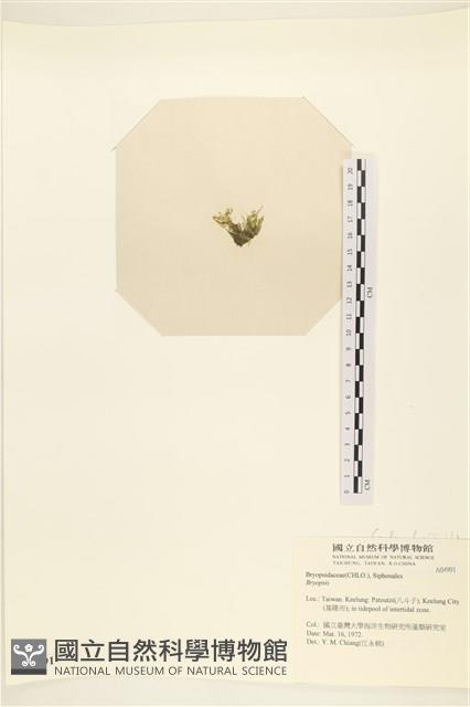 登錄號:A00004991藏品圖，第3張