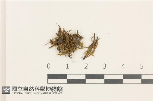 登錄號:B00008891藏品圖，第1張