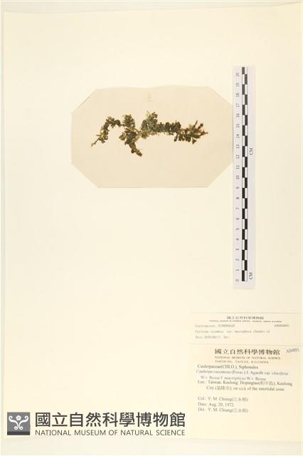 登錄號:A00004891藏品圖，第3張