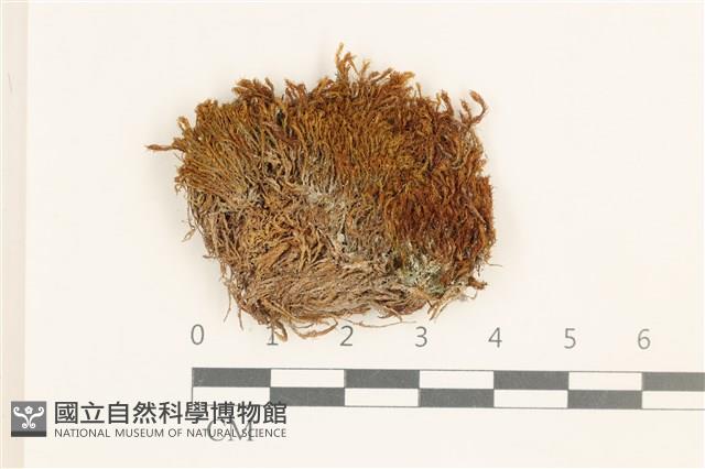 登錄號:B00017891藏品圖，第1張
