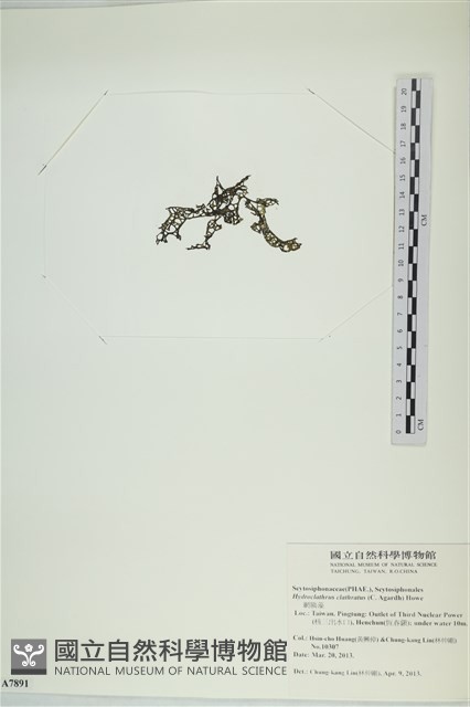 登錄號:A00007891藏品圖，第3張