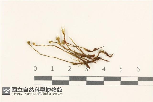 Accession Number:B00000041 Collection Image, Figure 1, Total 2 Figures