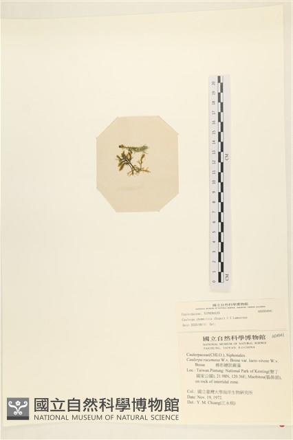 登錄號:A00004941藏品圖，第1張